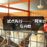 试点先行——“阿米巴”在兴赣(图1) 试点先行——“阿米巴”在兴赣(图1)