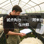 试点先行——“阿米巴”在兴赣(图4) 试点先行——“阿米巴”在兴赣(图4)