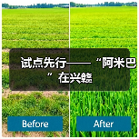 试点先行——“阿米巴”在兴赣(图2) 试点先行——“阿米巴”在兴赣(图2)