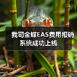 我司金蝶EAS费用报销系统成功上线(图1) 我司金蝶EAS费用报销系统成功上线(图1)