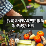 我司金蝶EAS费用报销系统成功上线(图3) 我司金蝶EAS费用报销系统成功上线(图3)
