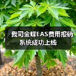 我司金蝶EAS费用报销系统成功上线(图2) 我司金蝶EAS费用报销系统成功上线(图2)