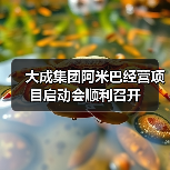 大成集团阿米巴经营项目启动会顺利召开（图2）