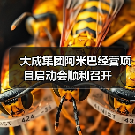 大成集团阿米巴经营项目启动会顺利召开（图1）