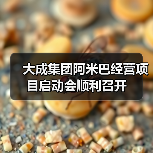 大成集团阿米巴经营项目启动会顺利召开（图3）