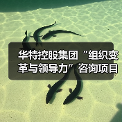 华特控股集团“组织变革与领导力”咨询项目正式启动(图4) 华特控股集团“组织变革与领导力”咨询项目正式启动(图4)