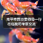 南平市国资委领导一行莅临我司考察交流（图1）
