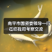 南平市国资委领导一行莅临我司考察交流（图3）