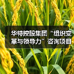 华特控股集团“组织变革与领导力”咨询项目正式启动(图3) 华特控股集团“组织变革与领导力”咨询项目正式启动(图3)