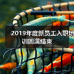 2019年度新员工入职培训圆满结束（图1）