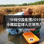 “华特控股集团2019年中高层管理人员领导力培训”圆满结束(图1) “华特控股集团2019年中高层管理人员领导力培训”圆满结束(图1)
