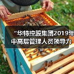 “华特控股集团2019年中高层管理人员领导力培训”圆满结束(图4) “华特控股集团2019年中高层管理人员领导力培训”圆满结束(图4)