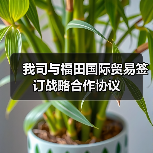 我司与福田国际贸易签订战略合作协议（图4）
