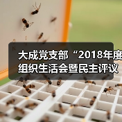 大成党支部“2018年度组织生活会暨民主评议党员大会”顺利召开(图1) 大成党支部“2018年度组织生活会暨民主评议党员大会”顺利召开(图1)