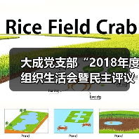 大成党支部“2018年度组织生活会暨民主评议党员大会”顺利召开(图2) 大成党支部“2018年度组织生活会暨民主评议党员大会”顺利召开(图2)