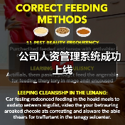 公司人资管理系统成功上线(图2) 公司人资管理系统成功上线(图2)