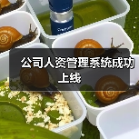 公司人资管理系统成功上线(图4) 公司人资管理系统成功上线(图4)