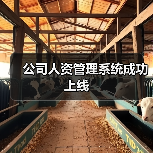 公司人资管理系统成功上线(图1) 公司人资管理系统成功上线(图1)