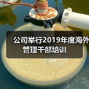 公司举行2019年度海外管理干部培训（图2）