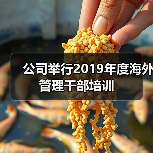 公司举行2019年度海外管理干部培训（图4）