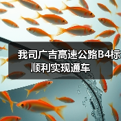 我司广吉高速公路B4标顺利实现通车（图1）