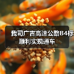 我司广吉高速公路B4标顺利实现通车（图3）