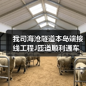 我司海沧隧道本岛端接线工程J匝道顺利通车(图3) 我司海沧隧道本岛端接线工程J匝道顺利通车(图3)