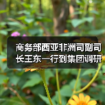 商务部西亚非洲司副司长王东一行到集团调研（图2）