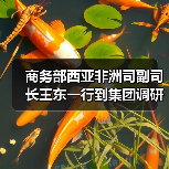 商务部西亚非洲司副司长王东一行到集团调研（图1）