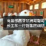 商务部西亚非洲司副司长王东一行到集团调研（图3）