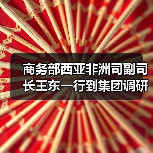 商务部西亚非洲司副司长王东一行到集团调研（图4）