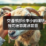 交通部部长李小鹏调研我司厦蓉高速项目（图1）