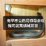 南平市公路局领导参观我司武夷绕城项目(图1) 南平市公路局领导参观我司武夷绕城项目(图1)