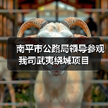 南平市公路局领导参观我司武夷绕城项目(图2) 南平市公路局领导参观我司武夷绕城项目(图2)