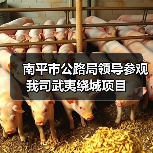 南平市公路局领导参观我司武夷绕城项目(图3) 南平市公路局领导参观我司武夷绕城项目(图3)