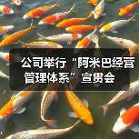 公司举行“阿米巴经营管理体系”宣贯会(图1) 公司举行“阿米巴经营管理体系”宣贯会(图1)