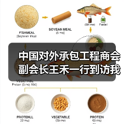 中国对外承包工程商会副会长王禾一行到访我司(图1) 中国对外承包工程商会副会长王禾一行到访我司(图1)