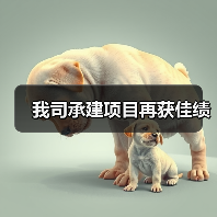 我司承建项目再获佳绩（图3）
