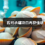 我司承建项目再获佳绩（图2）
