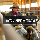 我司承建项目再获佳绩（图1）