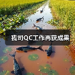 我司QC工作再获成果（图4）