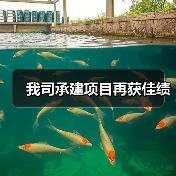 我司承建项目再获佳绩（图4）