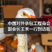 中国对外承包工程商会副会长王禾一行到访我司(图3) 中国对外承包工程商会副会长王禾一行到访我司(图3)