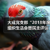 大成党支部“2018年度组织生活会暨民主评议党员大会”顺利召开(图4) 大成党支部“2018年度组织生活会暨民主评议党员大会”顺利召开(图4)
