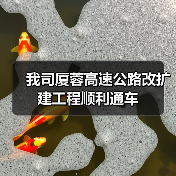 我司厦蓉高速公路改扩建工程顺利通车（图1）