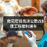 我司厦蓉高速公路改扩建工程顺利通车（图3）