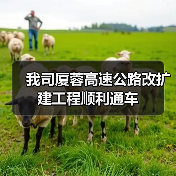我司厦蓉高速公路改扩建工程顺利通车（图2）