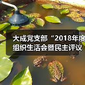 大成党支部“2018年度组织生活会暨民主评议党员大会”顺利召开(图3) 大成党支部“2018年度组织生活会暨民主评议党员大会”顺利召开(图3)