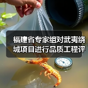 福建省专家组对武夷绕城项目进行品质工程评估(图3) 福建省专家组对武夷绕城项目进行品质工程评估(图3)