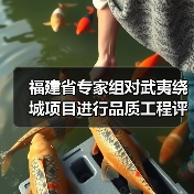 福建省专家组对武夷绕城项目进行品质工程评估(图2) 福建省专家组对武夷绕城项目进行品质工程评估(图2)